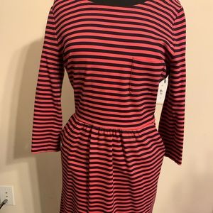 JCrew Mid-sleeve Red & Navy Skater Dress